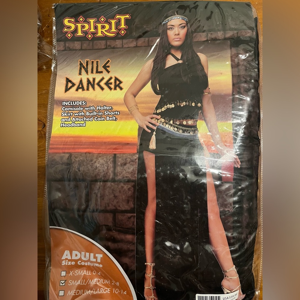 Spirit Halloween Adult Costume 🎃 Nile Dancer